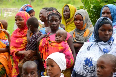 DSC_9465 (Large).JPG